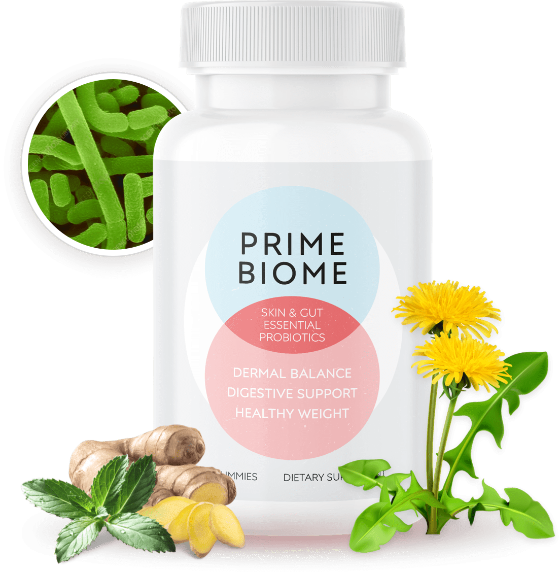 Prime Biome probiotic supplement bottle for advanced gut health support
	2.	Prime Biome daily digestive health formula with prebiotics and probiotics
	3.	Prime Biome supplement for immunity, digestion, and microbiome balance
	4.	Prime Biome capsules designed to improve gut flora and nutrient absorption
	5.	Prime Biome natural supplement for bloating relief and digestive wellness
	6.	Prime Biome microbiome support formula with clinically tested strains
	7.	Prime Biome gut-health supplement packaging front view
	8.	Prime Biome advanced digestive enzymes and probiotics blend product photo
